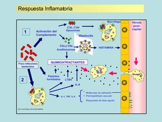 Respuesta Inflamatoria 1 2 