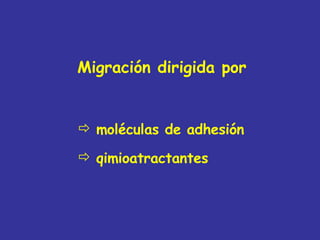 Migración dirigida por  moléculas de adhesión qimioatractantes 