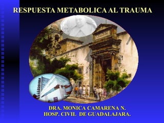 RESPUESTA METABOLICA AL TRAUMA DRA. MONICA CAMARENA N. HOSP. CIVIL  DE GUADALAJARA. 
