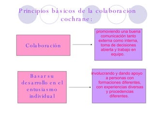 Principios básicos de la colaboración cochrane:  Colaboración promoviendo una buena comunicación tanto externa como interna, toma de decisiones abierta y trabajo en equipo.  Basar su desarrollo en el entusiasmo individual involucrando y dando apoyo a personas con formaciones diferentes, con experiencias diversas y procedencias diferentes.  