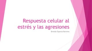 Respuesta celular al
estrés y las agresiones
Brenda Esparza Barrena
 