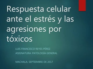 Respuesta celular
ante el estrés y las
agresiones por
tóxicos
LUIS FRANCISCO REYES PÉREZ
ASIGNATURA: PATOLOGÍA GENERAL
MACHALA, SEPTIEMBRE DE 2017
 