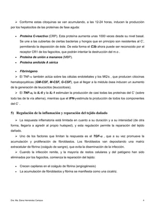 Conforme estas citoquinas se van acumulando, a las 12-24 horas, inducen la producción
por los hepatocitos de las proteínas de fase aguda:

    •   Proteína C-reactiva (CRP). Esta proteína aumenta unas 1000 veces desde su nivel basal.
        Se une a las cubiertas de ciertas bacterias y hongos que en principio son resistentes al C’,
        permitiendo la deposición de éste. De esta forma el C3b ahora puede ser reconocido por el
        receptor CR1 de los fagocitos, que podrán intentar la destrucción del m.o .
    •   Proteína de unión a mananos (MBP).
    •   Proteína amiloide A sérica

    •   Fibrinógeno
        El TNF-α también actúa sobre las células endoteliales y los MQ’s , que producen citocinas
hematopoyéticas (GM-CSF, M-CSF, G-CSF), que al llegar a la médula ósea inducen un aumento
de la generación de leucocitos (leucocitosis).
        El TNF-α, la IL-6 y la IL-1 estimulan la producción de casi todas las proteínas del C’ (sobre
todo las de la vía alterna), mientras que el IFN-γ estimula la producción de todos los componentes
del C’ .


5) Regulación de la inflamación y reparación del tejido dañado

        La respuesta inflamatoria está limitada en cuanto a su duración y a su intensidad (de otra
forma, llegaría a agredir al propio huésped), y esta regulación permite la reparación del tejido
dañado.
        Uno de los factores que limitan la respuesta es el TGF-α , que a su vez promueve la
acumulación y proliferación de fibroblastos. Los fibroblastos van depositando una matriz
extracelular de fibrina (coágulo de sangre), que evita la diseminación de la infección.
        Cuando la infección remite, y la mayoría de restos celulares y del patógeno han sido
eliminados por los fagocitos, comienza la reparación del tejido:

    •   Crecen capilares en el coágulo de fibrina (angiogénesis)
    •   La acumulación de fibroblastos y fibrina se manifiesta como una cicatriz.




Dra. Ma. Elena Hernández Campos                                                                     4
 