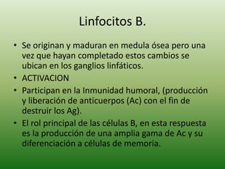 Linfocitos B.
• Se originan y maduran en medula ósea pero una
vez que hayan completado estos cambios se
ubican en los ganglios linfáticos.
• ACTIVACION
• Participan en la Inmunidad humoral, (producción
y liberación de anticuerpos (Ac) con el fin de
destruir los Ag).
• El rol principal de las células B, en esta respuesta
es la producción de una amplia gama de Ac y su
diferenciación a células de memoria.

 