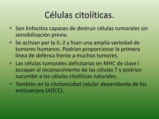Células citolíticas.
• Son linfocitos capaces de destruir células tumorales sin
sensibilización previa.
• Se activan por la IL-2 y lisan una amplia variedad de
tumores humanos. Podrían proporcionar la primera
línea de defensa frente a muchos tumores.
• Las células tumorales deficitarias en MHC de clase I
escapan al reconocimiento de las células T y podrían
sucumbir a las células citolíticas naturales.
• También en la citotoxicidad celular dependiente de los
anticuerpos (ADCC).

 