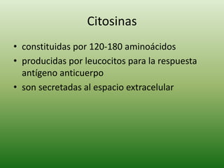 Citosinas
• constituidas por 120-180 aminoácidos
• producidas por leucocitos para la respuesta
antígeno anticuerpo
• son secretadas al espacio extracelular

 