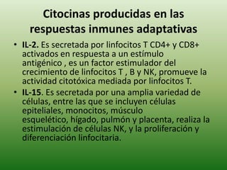 Citocinas producidas en las
respuestas inmunes adaptativas
• IL-2. Es secretada por linfocitos T CD4+ y CD8+
activados en respuesta a un estímulo
antigénico , es un factor estimulador del
crecimiento de linfocitos T , B y NK, promueve la
actividad citotóxica mediada por linfocitos T.
• IL-15. Es secretada por una amplia variedad de
células, entre las que se incluyen células
epiteliales, monocitos, músculo
esquelético, hígado, pulmón y placenta, realiza la
estimulación de células NK, y la proliferación y
diferenciación linfocitaria.

 