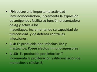 • IFN: posee una importante actividad
inmunomoduladora, incrementa la expresión
de antígenos , facilita su función presentadora
de Ag y activa a los
macrófagos, incrementando su capacidad de
tumoricidad y de defensa contra las
infecciones.
• IL-4: Es producida por linfocitos Th2 y
mastocitos. Posee efectos inmunosupresores
• IL-13: Es producida por linfocitos T
incrementa la proliferación y diferenciación de
monocitos y células B,

 