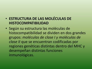 • ESTRUCTURA DE LAS MOLÉCULAS DE
HISTOCOMPATIBILIDAD
• Según su estructura las moléculas de
histocompatibilidad se dividen en dos grandes
grupos: moléculas de clase I y moléculas de
clase II que se encuentran codificadas por
regiones genéticas distintas dentro del MHC y
desempeñan distintas funciones
inmunológicas.

 
