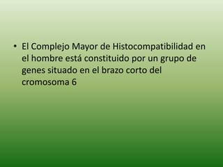 • El Complejo Mayor de Histocompatibilidad en
el hombre está constituido por un grupo de
genes situado en el brazo corto del
cromosoma 6

 