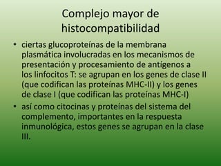 Complejo mayor de
histocompatibilidad
• ciertas glucoproteínas de la membrana
plasmática involucradas en los mecanismos de
presentación y procesamiento de antígenos a
los linfocitos T: se agrupan en los genes de clase II
(que codifican las proteínas MHC-II) y los genes
de clase I (que codifican las proteínas MHC-I)
• así como citocinas y proteínas del sistema del
complemento, importantes en la respuesta
inmunológica, estos genes se agrupan en la clase
III.

 