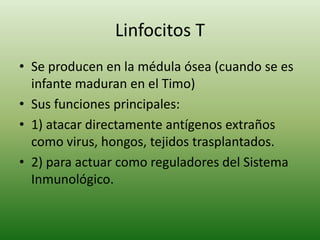 Linfocitos T
• Se producen en la médula ósea (cuando se es
infante maduran en el Timo)
• Sus funciones principales:
• 1) atacar directamente antígenos extraños
como virus, hongos, tejidos trasplantados.
• 2) para actuar como reguladores del Sistema
Inmunológico.

 