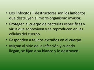 • Los linfocitos T destructores son los linfocitos
que destruyen al micro-organismo invasor.
• Protegen al cuerpo de bacterias especificas y
virus que sobreviven y se reproducen en las
células del cuerpo.
• Responden a tejidos extraños en el cuerpo.
• Migran al sitio de la infección y cuando
llegan, se fijan a su blanco y lo destruyen.

 
