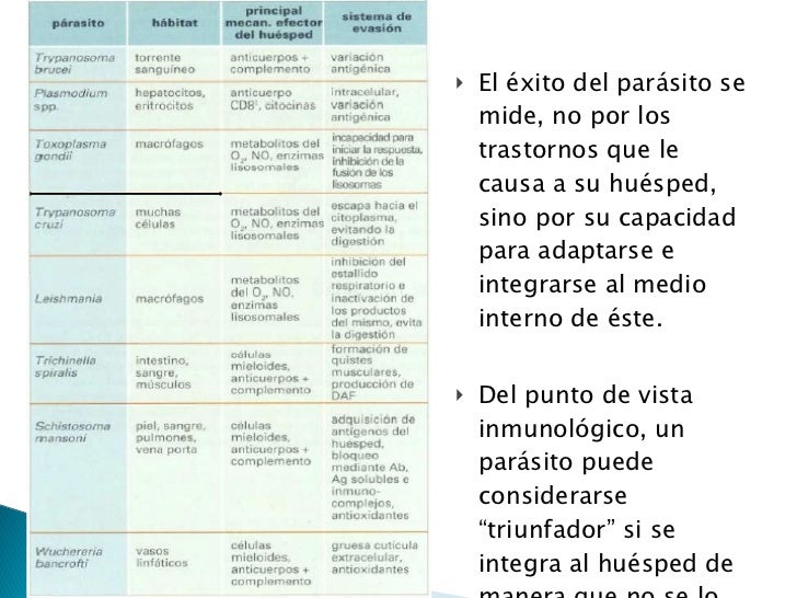 El hongo sobre las uñas se rompen las uñas