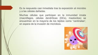 Es la respuesta casi inmediata tras la exposición al microbio
y a las células dañadas.
Muchas células que participan en la inmunidad innata
(macrófagos, células dendríticas (DCs), mastocitos) se
encuentran en la mayoría de los tejidos como “centinelas“,
en espera de la invasión de microbios.
 