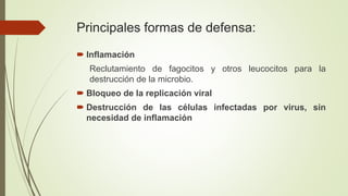 Principales formas de defensa:
 Inflamación
Reclutamiento de fagocitos y otros leucocitos para la
destrucción de la microbio.
 Bloqueo de la replicación viral
 Destrucción de las células infectadas por virus, sin
necesidad de inflamación
 
