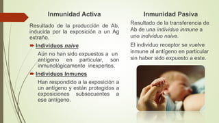 Inmunidad Activa
Resultado de la producción de Ab,
inducida por la exposición a un Ag
extraño.
 Individuos naive
Aún no han sido expuestos a un
antígeno en particular, son
inmunológicamente inexpertos.
 Individuos Inmunes
Han respondido a la exposición a
un antígeno y están protegidos a
exposiciones subsecuentes a
ese antígeno.
Inmunidad Pasiva
Resultado de la transferencia de
Ab de una individuo inmune a
uno individuo naive.
El individuo receptor se vuelve
inmune al antígeno en particular
sin haber sido expuesto a este.
 