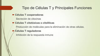 Tipo de Células T y Principales Funciones
 Células T cooperadoras
Secreción de citocinas
 Células T citotóxicas o citolíticas
Producción de moléculas para la eliminación de otras células.
 Células T reguladoras
Inhibición de la respuesta inmune
 