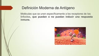 Definición Moderna de Antígeno
Moléculas que se unen específicamente a los receptores de los
linfocitos, que puedan o no puedan inducir una respuesta
inmune.
 
