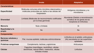 Innata Adaptativa
Características
Especificidad
Moléculas comunes entre microbios relacionados y
moléculas producidas por daños a las células del
hospedador.
Antígenos microbianos y no
microbianos
Diversidad
Limitada (Moléculas de reconocimiento codificadas
por la línea germinal)
Abundante (Debido a recombinación
somática de los genes de los
receptores en linfocitos)
Memoria Nula o limitada Si
Reactividad a lo
propio
No No
Componentes
Barreras celulares y
químicas
Piel, mucosa epitelial; moléculas antimicrobianas
Linfocitos en el epitelio; anticuerpos
(Ab) secretados en las superficies
epiteliales
Proteínas sanguíneas Complemento, lectinas y aglutininas Anticuerpos
Células
Fagocitos (macrófagos, neutrófilos), células
dendríticas, natural killers, mastocitos, células
linfoides innatas
Linfocitos
 