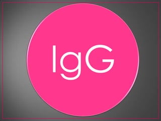 IgG
 