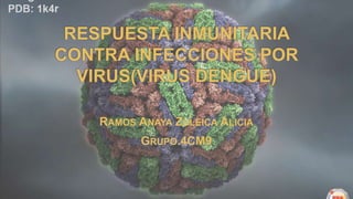 RESPUESTA INMUNITARIA
CONTRA INFECCIONES POR
VIRUS(VIRUS DENGUE)
RAMOS ANAYA ZULEICA ALICIA
GRUPO.4CM9
 