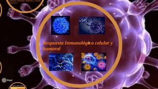 Respuesta inmunologica celular y humoral