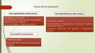 Respuesta metabólica en el trauma revision.pptx