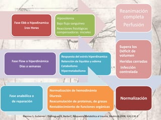 RESPUESTA METABOLICA AL TRAUMA | PDF