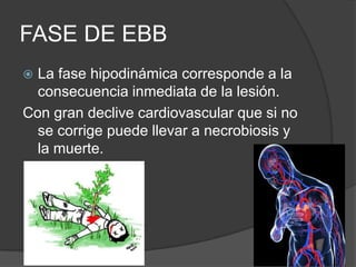 Respuesta metabolica al trauma | PPTX