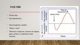 respuesta metabolica al trauma cirugia general.pdf
