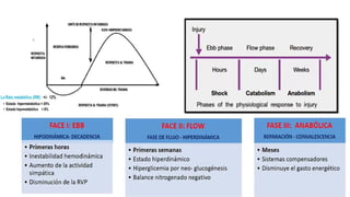 Respuesta Metabólica al Trauma: Fisiopatología y Fases Clave | PPTX