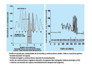 Gráfico trazado por computador de la tensión y contracciones anales. Sólo se muestran partes :
•tensión durante el reposo;
•tensión irregular y contracciones durante la masturbación;
•series de contracciones regulares durante el orgasmo (los triángulos indican principio y fin)
• retorno a la tensión de reposo inmediatamente después del orgasmo.

 