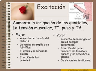 Mª José Alemany Ancle EUE La Fe
Excitación
Aumenta la irrigación de los genitales,
La tensión muscular, Tª, puso y TA.
• Mujer
– Aumento de tamaño del
clítoris.
– La vagina se amplia y se
lubrifica.
– El útero y el cérvix se
elevan.
– Erección de los
pezones.
• Varón
– Aumento de la irrigación
en los cuerpos
cavernosos.
– Erección del pene,
aumento de tamaño y
dureza y se descubre el
glande.
– Se elevan los testículos.
 