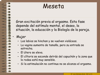 Mª José Alemany Ancle EUE La Fe
Meseta
Gran excitación previa al orgasmo. Esta fase
depende del estímulo mental, el deseo, la
situación, la educación y la Biología de la pareja.
• Mujer
– Los labios se hinchan y se vuelven violáceos.
– La vagina aumenta de tamaño, pero su entrada se
estrecha.
– El útero se eleva.
– El clítoris se esconde detrás del capuchón y la zona que
lo rodea está muy sensible.
– Si la estimulación no continua no se alcanza el orgasmo.
 