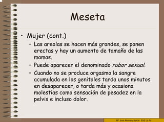 Mª José Alemany Ancle EUE La Fe
Meseta
• Mujer (cont.)
– Las areolas se hacen más grandes, se ponen
erectas y hay un aumento de tamaño de las
mamas.
– Puede aparecer el denominado rubor sexual.
– Cuando no se produce orgasmo la sangre
acumulada en los genitales tarda unos minutos
en desaparecer, o tarda más y ocasiona
molestias como sensación de pesadez en la
pelvis e incluso dolor.
 