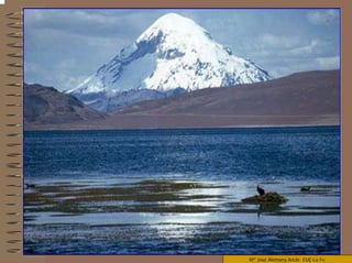 Mª José Alemany Ancle EUE La Fe
 