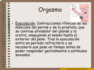 Mª José Alemany Ancle EUE La Fe
Orgasmo
• Eyaculación. Contracciones rítmicas de los
músculos del periné y de la prostata, que
se contrae alrededor del glande y la
uretra, empujando el semen hasta el
exterior del pene. Tras la eyaculación
entra en período refractario y es
necesario que pase un tiempo antes de
poder responder genitalmente a estímulos
sexuales.
 