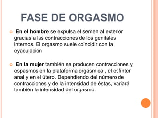 DISFUNCIONES SEXUALES
 