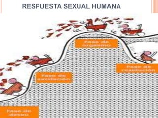 RESPUESTA SEXUAL HUMANA
 
