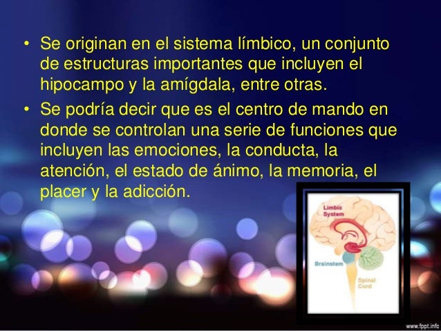 El curso al aumento del miembro viril
