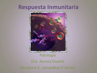 Respuesta Inmunitaria




           Patología
      Dra. Aurora Duarte
Giovanna S. Larrazábal D´Amico
 
