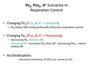 Po2 Pco2 Respiration Respiration3 | PPTX