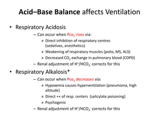 Acid–Base Balance affects VentilationRespiratory AcidosisCan occur when Pco2 rises via:Direct inhibition of respiratory centres (sedatives, anesthetics)Weakening of respiratory muscles (polio, MS, ALS)Decreased CO2 exchange in pulmonary blood (COPD) Renal adjustment of H+/HCO3- corrects for thisRespiratory Alkalosis*Can occur when Pco2 decreases via:Hypoxemia causes hyperventilation (pneumonia, high altitude)Direct ++ of resp. centers  (salicylate poisoning)Psychogenic Renal adjustment of H+/HCO3- corrects for this
