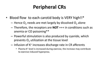 Peripheral CRsBlood flow  to each carotid body is VERY high!!* Hence O2 needs are met largely by dissolved O2 alone Therefore, the receptors are NOT +++ in conditions such as anemia or CO poisoning** Powerful stimulation is also produced by cyanide, which prevents O2 utilization at the tissue level Infusion of K+ increases discharge rate in CR afferentsPlasma K+ level is increased during exercise, the increase may contribute to exercise-induced hyperpnea.