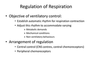 Regulation of RespirationObjective of ventilatory control:Establish automatic rhythm for respiration contractionAdjust this rhythm to accommodate varyingMetabolic demandsMechanical conditionsNon-ventilatory behavioursArrangement of regulationCentral control (CNS centres, central chemoreceptors)Peripheral chemoreceptors