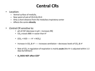 Central CRsLocation:Ventral surface of medulla, Near point of exit of CN IX & CN X Only a short distance from the medullary inspiratory centerAffects the centre directlyCentral CR sensitive to: pH of CSF (decrease in pH – increases RR)CO2 crosses BBB >> easier than H+(CO2 + H2O ----- H+ + HCO3)Increase in CO2 & H+ ----- increases ventilation – decreases levels of CO2 & H+Role of CO2 in regulation of respiration is mainly acute (the H+ is adjusted within 1-2 days by kidneys!)O2 DOES NOT affect CCR*