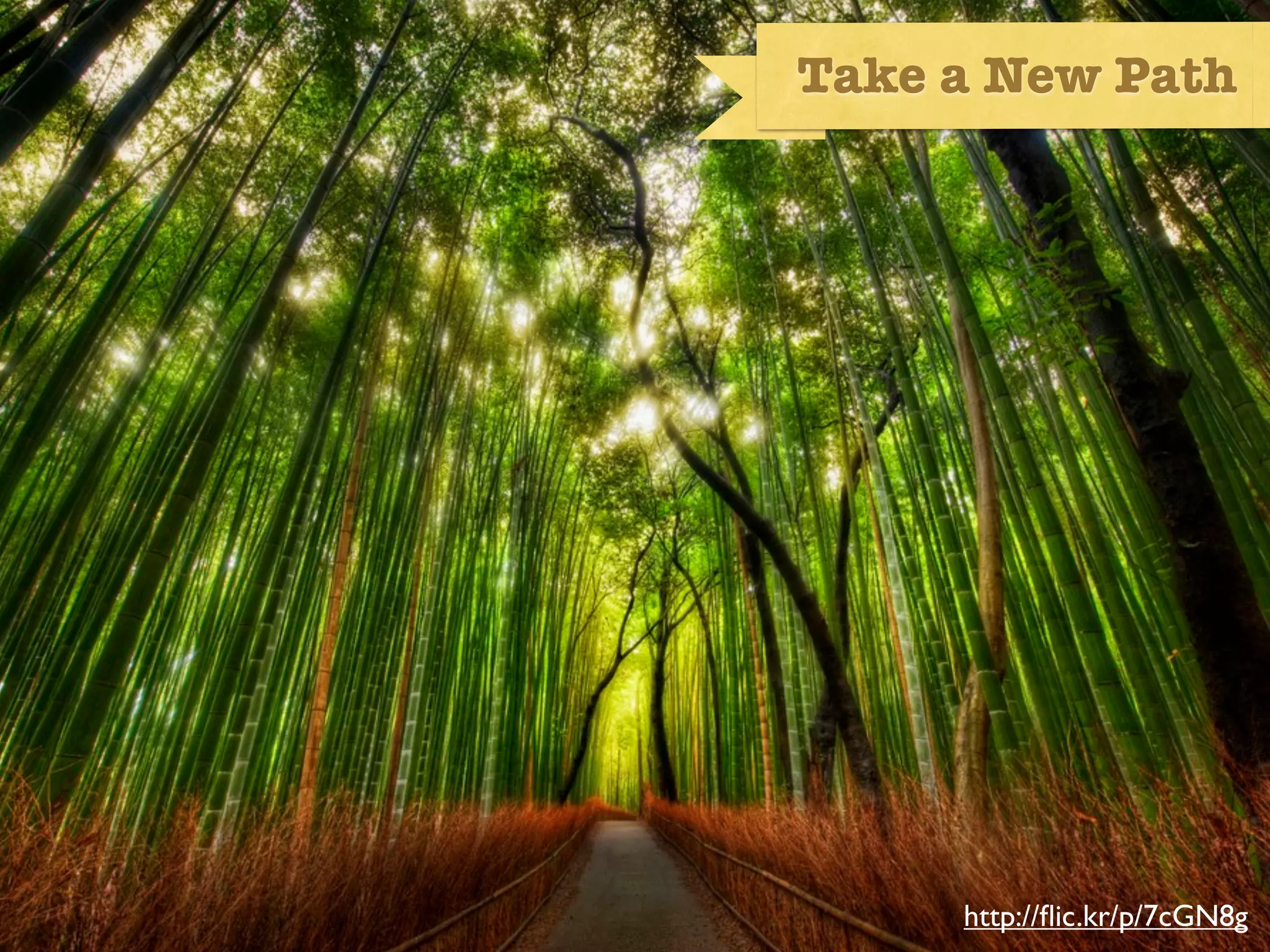 Take a New Path




image of a path for showing RESS as a way forward




                                       http://ﬂic.kr/p/7cGN8g
 