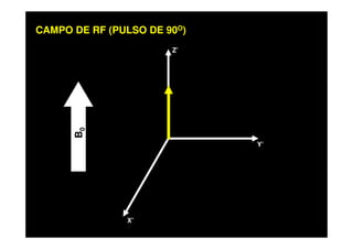 CAMPO DE RF (PULSO DE 90O)
Z’
X’
Y’
B0
 