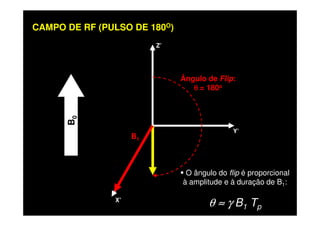 Z’
Ângulo de Flip:
θθθθ = 180o
CAMPO DE RF (PULSO DE 180O)
X’
Y’
B0
B1
O ângulo do flip é proporcional
à amplitude e à duração de B1:
θ ≈≈≈≈ γ B1 Tp
 